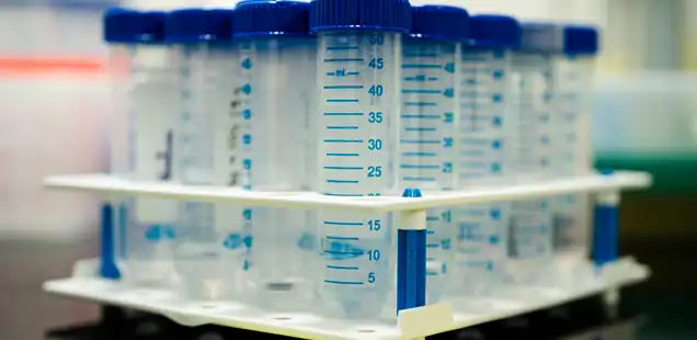 In vitro Genotoxicity Equipment Labs