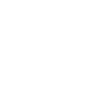 Integrated Services