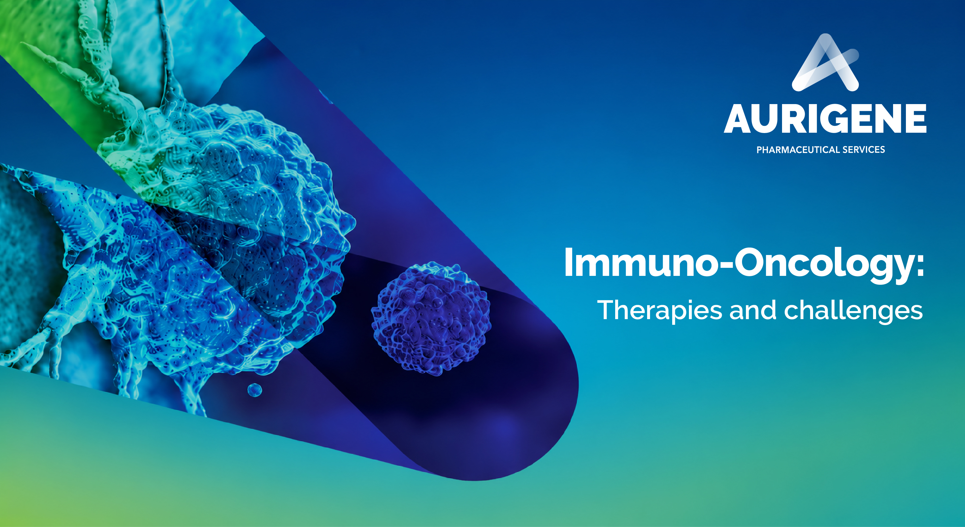 Immuno-Oncology: Therapies and challenges
