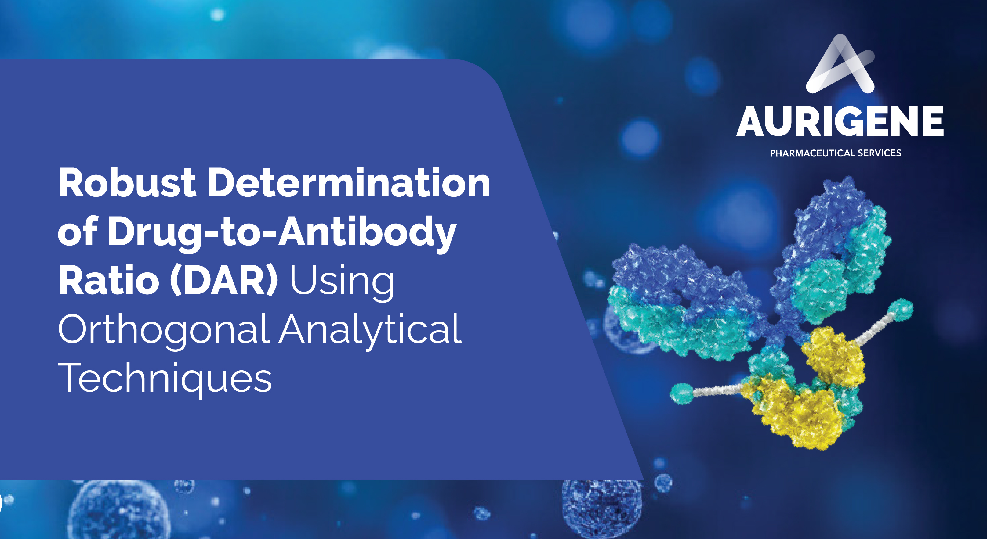 Robust Determination of Drug-to-Antibody Ratio (DAR) Using Orthogonal Analytical Techniques