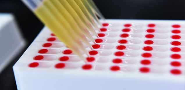 DMPK studies lab