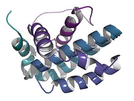 Fueling biologics advancements with NBE services