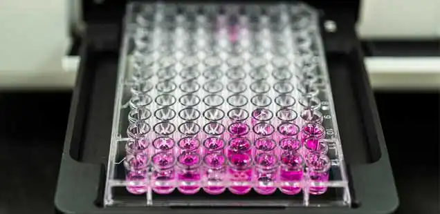In Vitro Biology Analysis and Research
