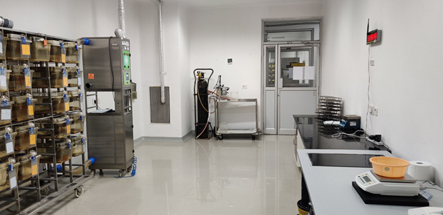 Carcinogenicity Studies Lab