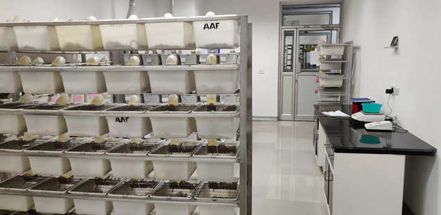 Carcinogenicity Studies and Research Lab