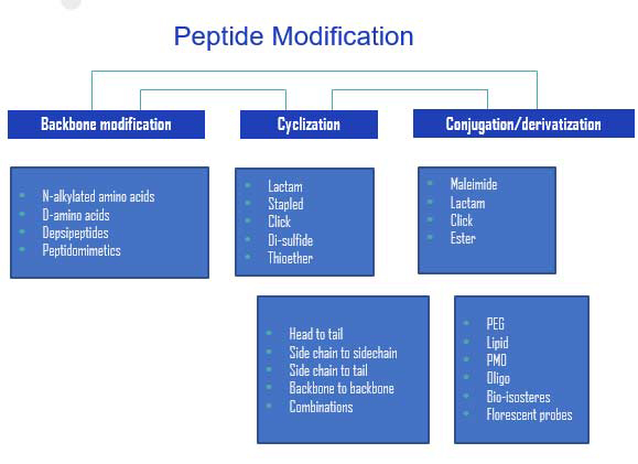 Peptide Modification 
