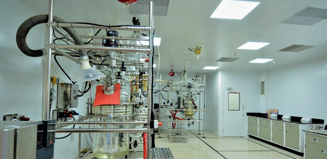 pharmacokinetic Studies