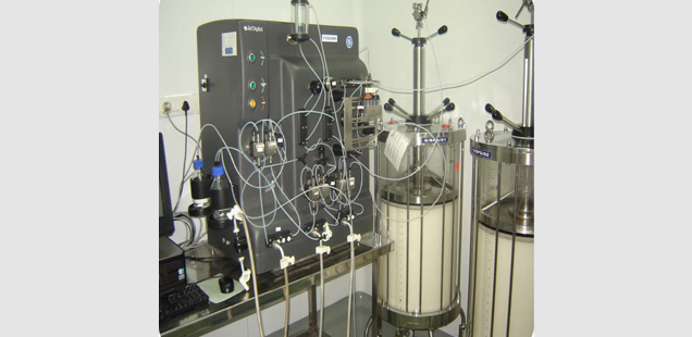 pharmacokinetic Studies