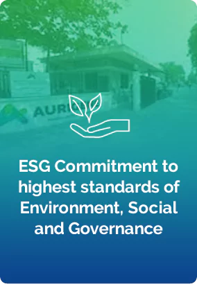 ESG Commitments