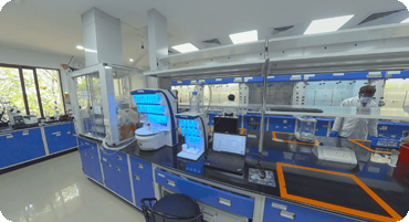 Custom Peptide Synthesis Lab