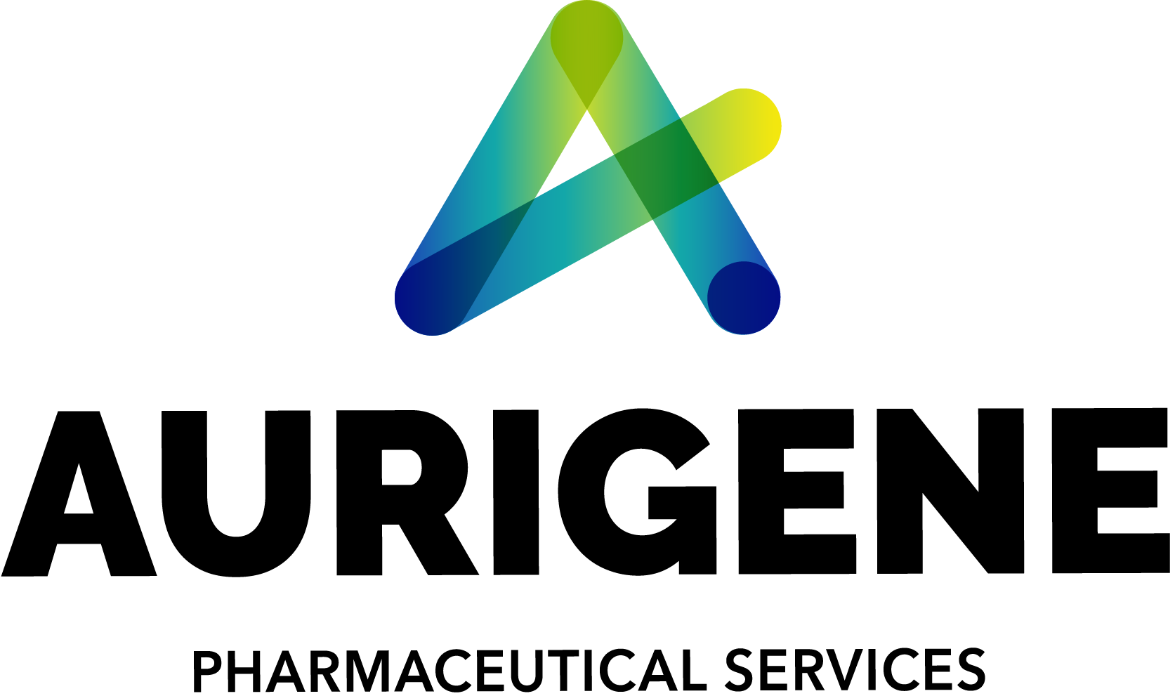 360 Degree Virtual Tour for CDMO Lab Bangalore, India