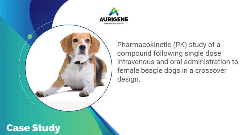Pharmacokinetic (PK) study of a compound following single dose intravenous and oral administration to female beagle dogs in a crossover design