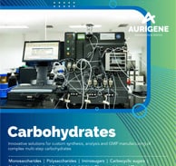 Cdmo Carbohydrates development