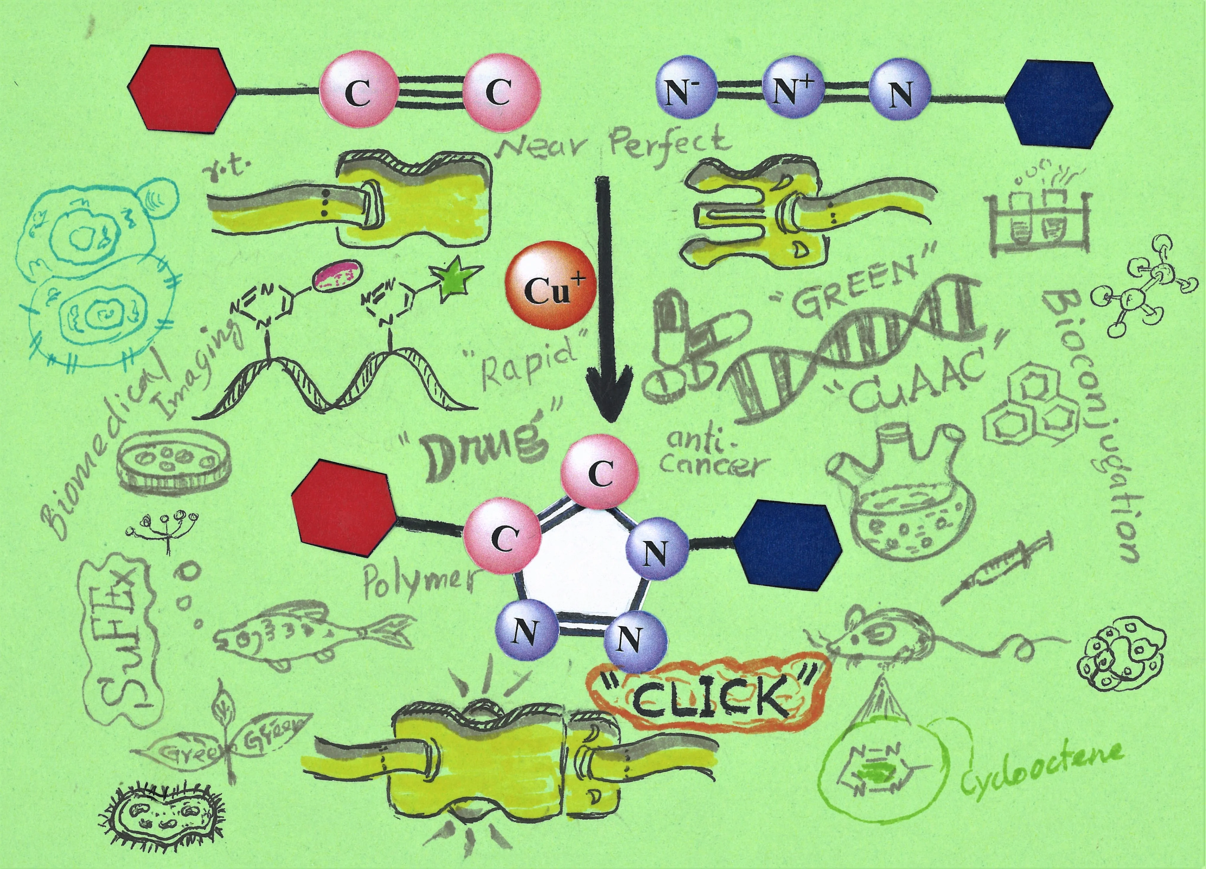 A Brief Introduction to Click Chemistry and Bioorthogonal Chemistry