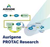 PROTAC Research