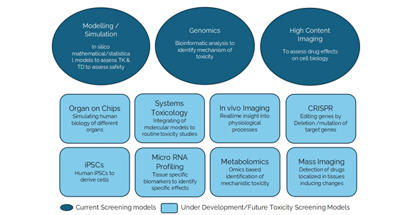 Toxicology assessment to accelerate IND and NDA Submissions